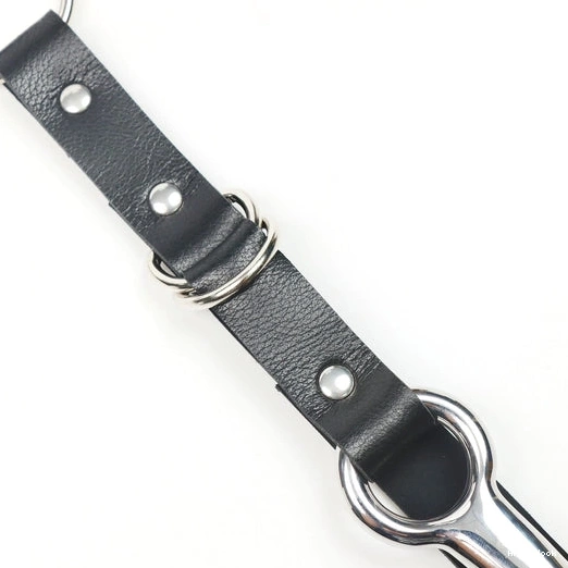 Anal Kinky with and EverydayUse Collar 5853 Hook Leash 1227